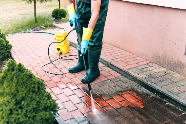 Best Commercial Building Pressure Washing  in Palmview South, TX