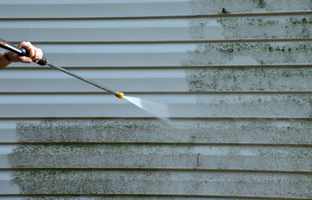 Why Choose Our Certified Pressure Washing Experts for Your Project Needs in Palmview South, TX?