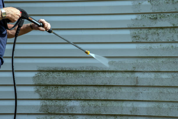 Best Affordable Pressure Washing  in Palmview South, TX
