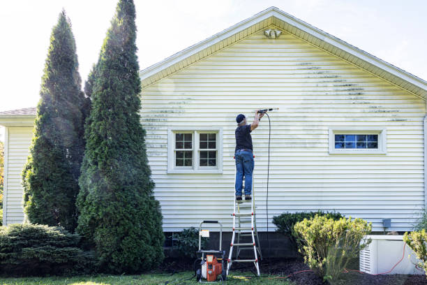 Best Fence Pressure Washing  in Palmview South, TX