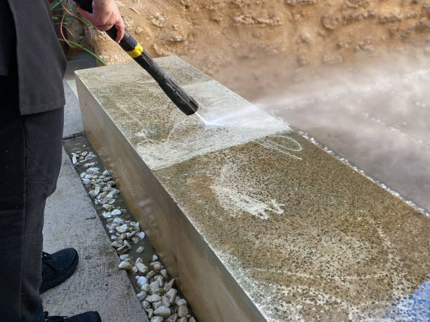 Best Pressure Washing Near Me  in Palmview South, TX