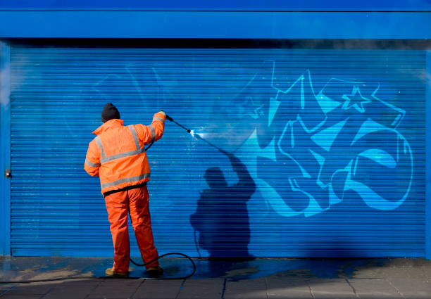Best Best Pressure Washing Companies  in Palmview South, TX