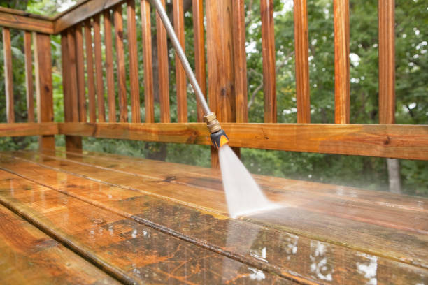 Best Local Pressure Washing Services  in Palmview South, TX