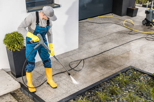 Best Affordable Pressure Washing  in Palmview South, TX