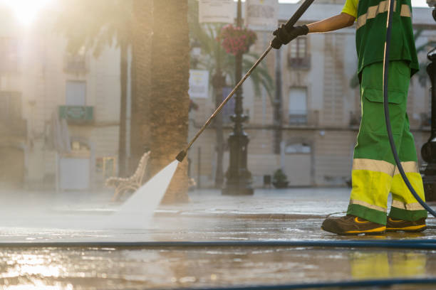 Best Local Pressure Washing Services  in Palmview South, TX