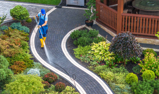 Best Commercial Pressure Washing  in Palmview South, TX