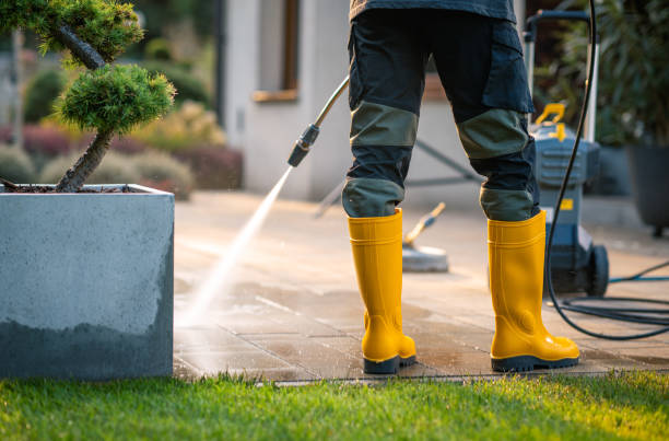 Best Commercial Pressure Washing  in Palmview South, TX